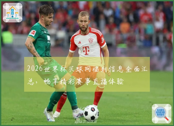 2026世界杯买球网福利信息全面汇总，畅享精彩赛事直播体验