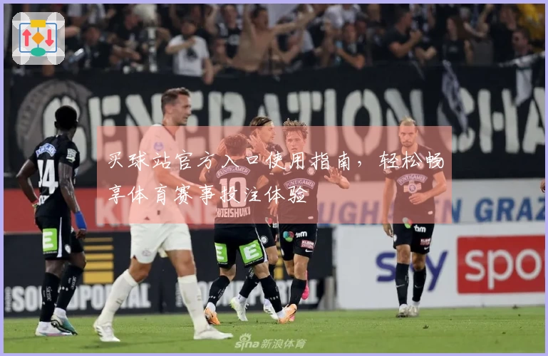 买球站官方入口使用指南，轻松畅享体育赛事投注体验